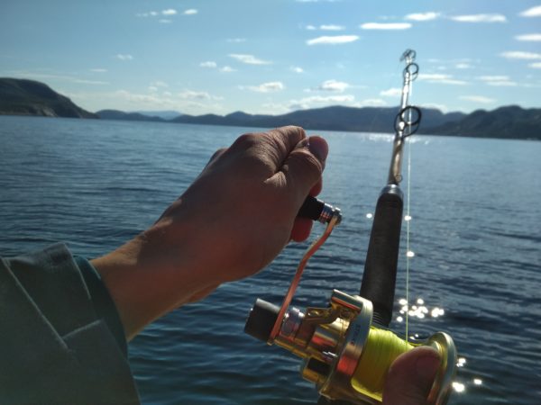 Рыбалка в Норвегии удилище на прокат