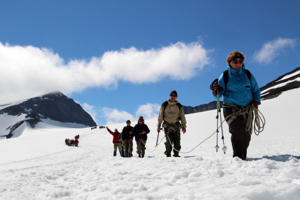 Галлхёпигген восхождение Группа идет по леднике спускается с Галлхёпигген (Galdhopiggen) 2,469 м - самая высокая вершина скандинавских гор.г