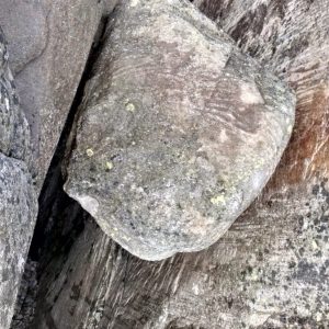 Камень спящая голова вид сверху камень горошина