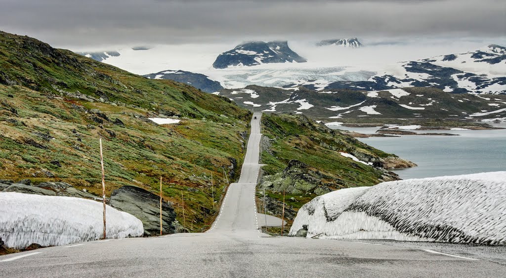 Тур фьорды Норвегии туристическая дорога 55