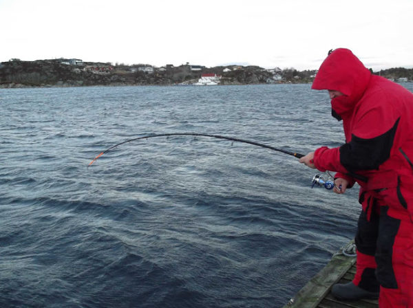 норвегия базы для рыбалки