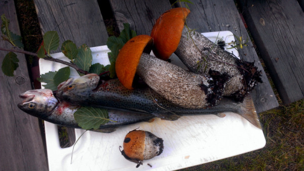 Грибы и рыба в Норвегии