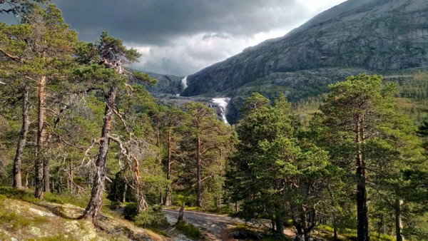 Лес и водопады в Норвегии