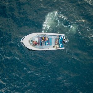 Лодка в море норвегия рыбалка